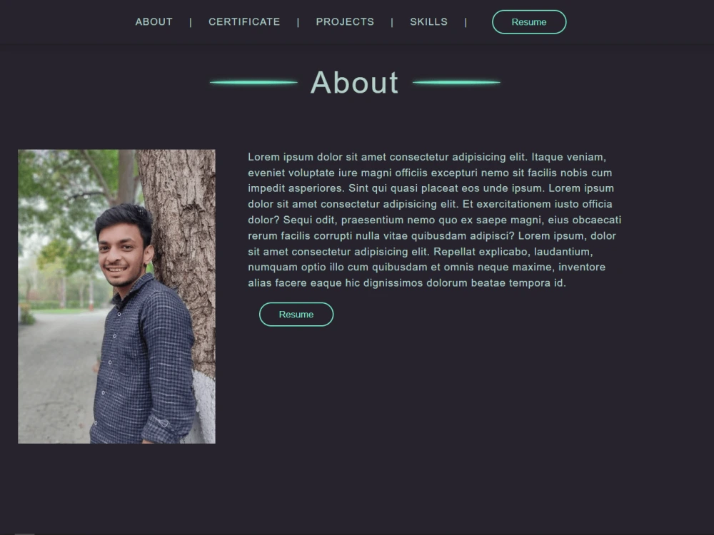 A fantastic template for your developer profile | Upwork