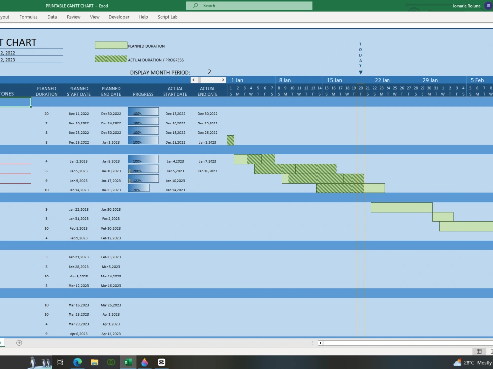 User convenient Box-Shading Gantt Chart for your Project Timeline! | Upwork