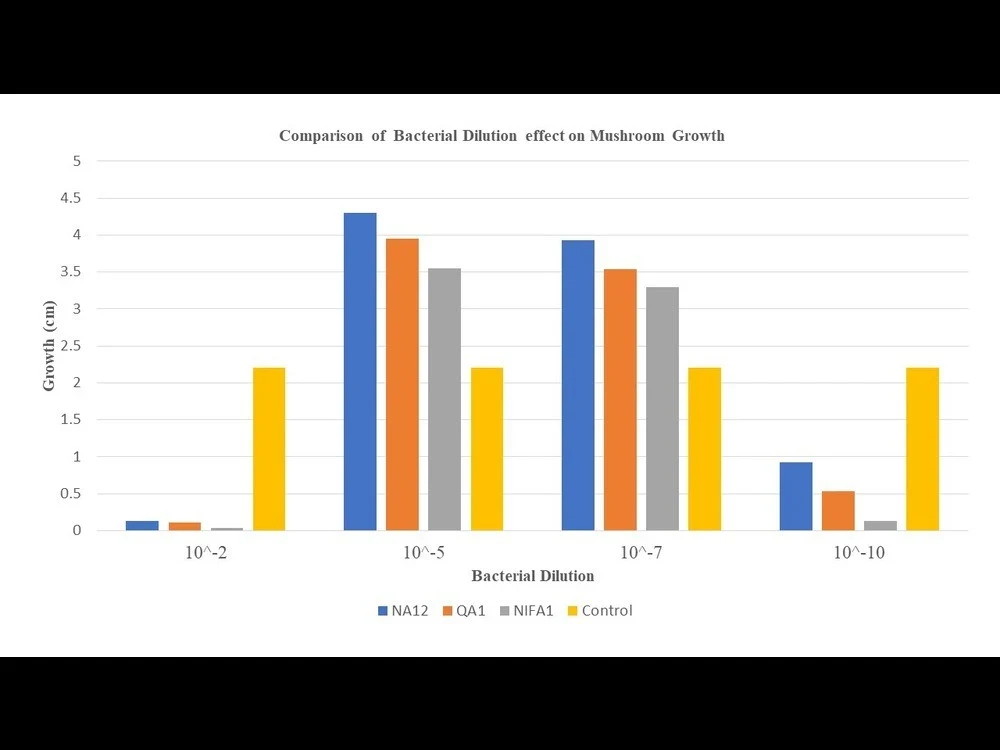 Assistance in probability and inferential statistics | Upwork