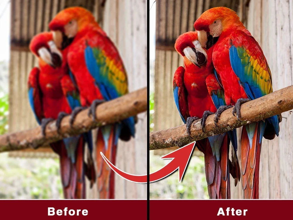 Sharpened Enhanced Low quality To High quality Photo Upwork Sharpened enhanced low quality to high quality photo upwork