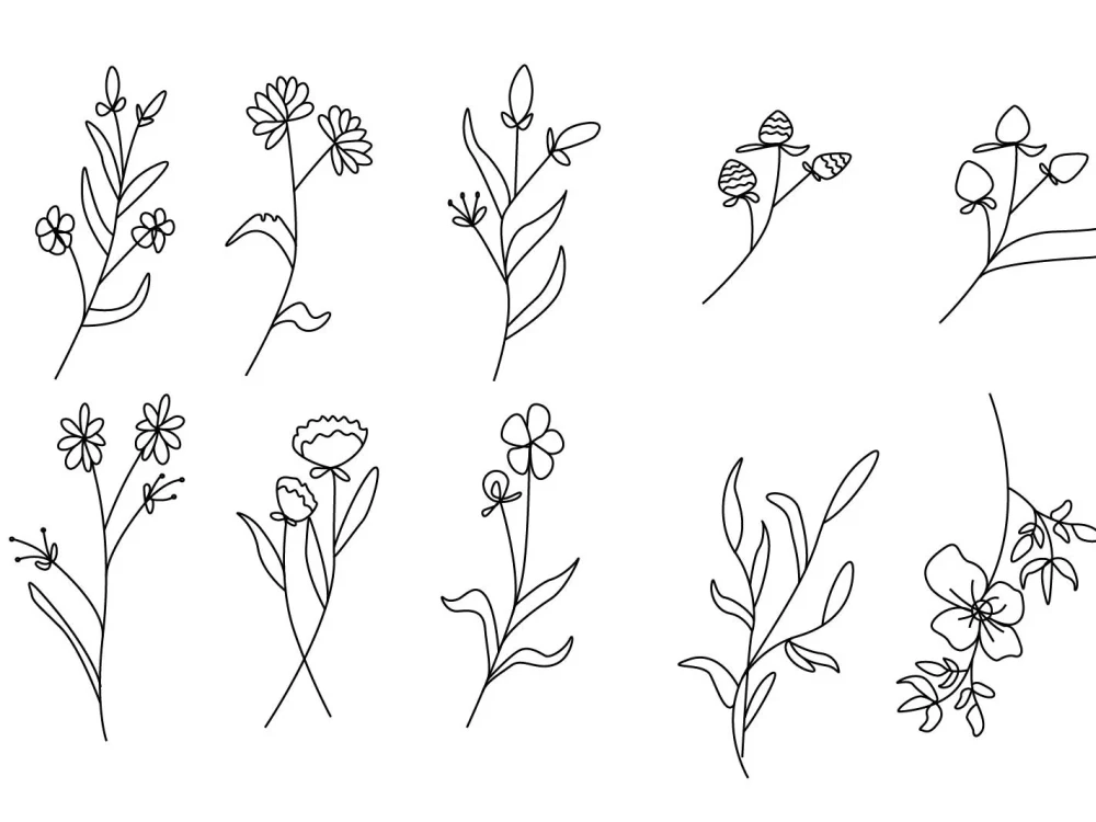 A botanical illustration of flowers, plants, and line art. Upwork