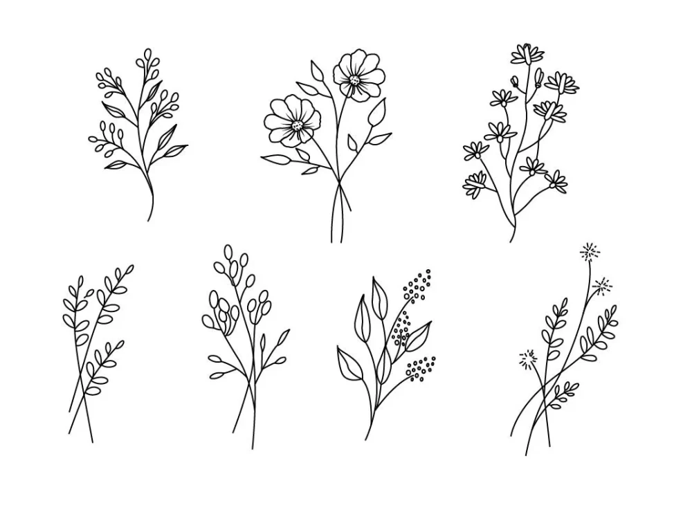 A botanical illustration of flowers, plants, and line art. Upwork