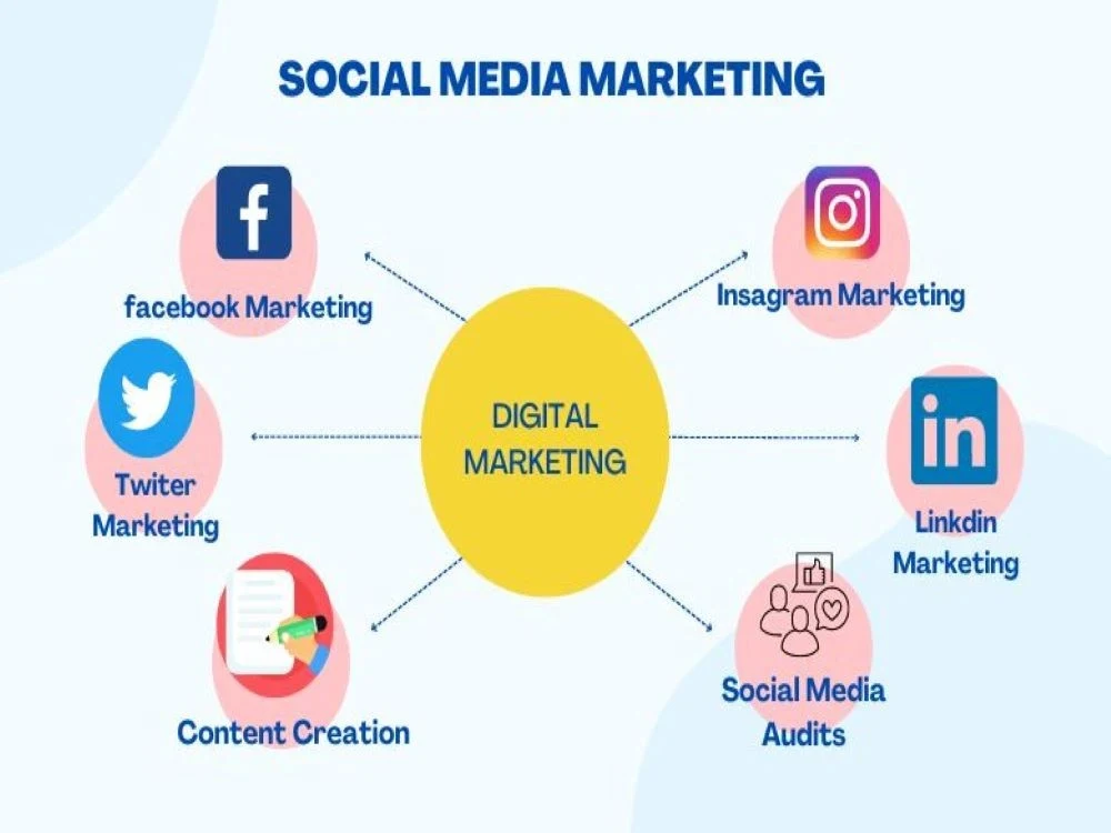 Social Media Marketing Expert Upwork