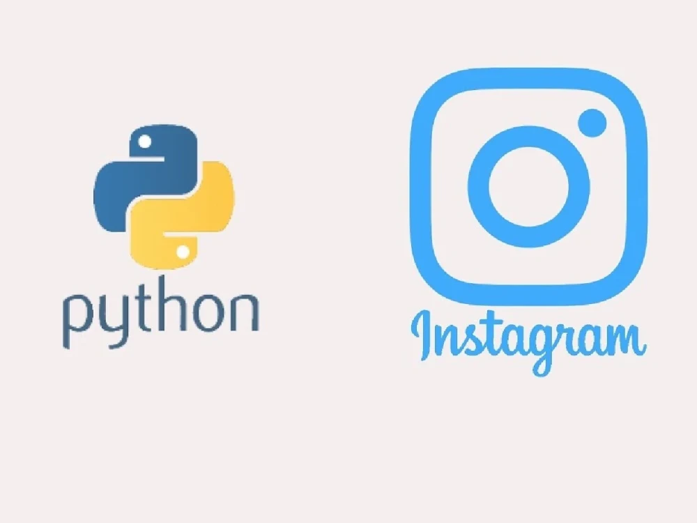 Instagram Profile Public Information For Your Business (Instagram