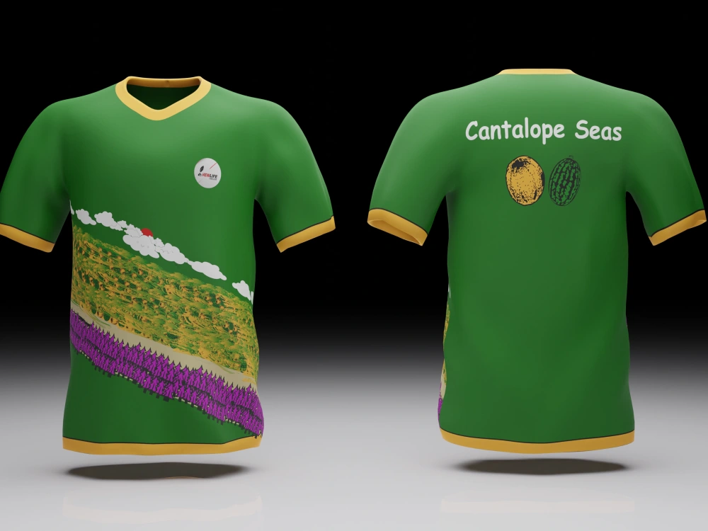 jersey t shirt online