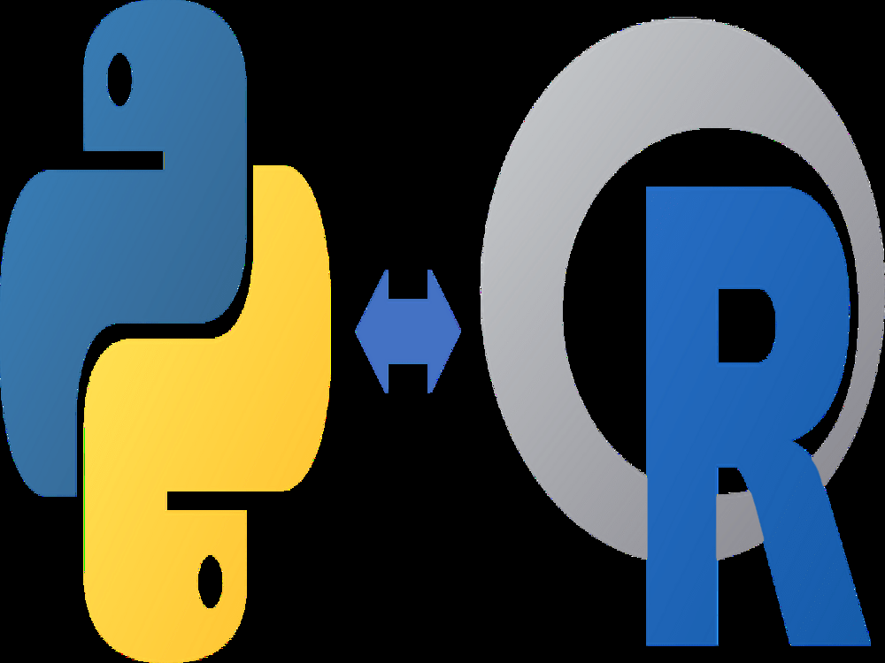Seamlessly Translate Your R and Python Code | Upwork