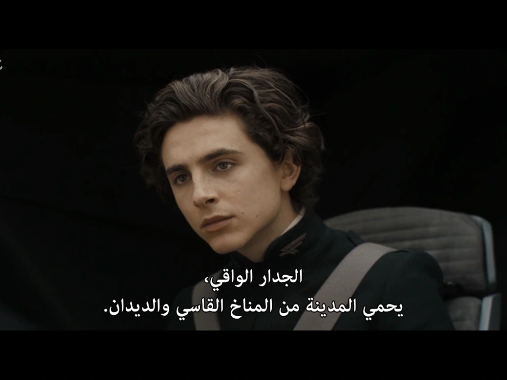 Your Arabic subtitles printed on screen or on srt file. Upwork