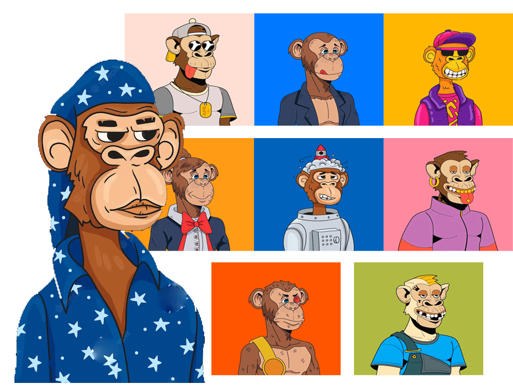 Complete NFT collection with 10,000 NFTs Upwork