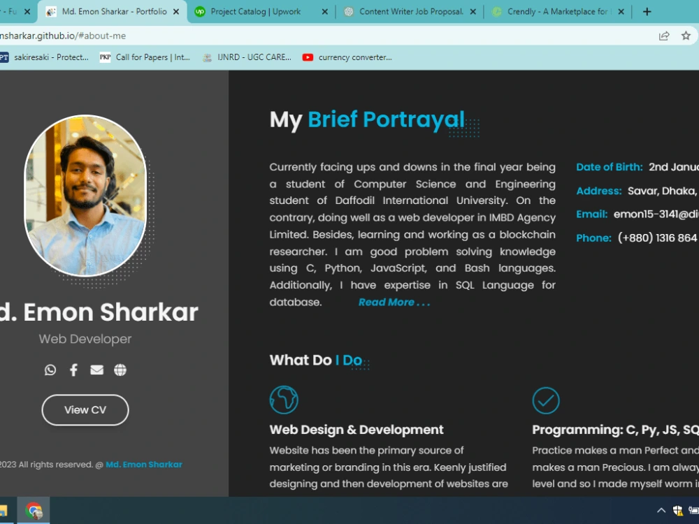 A customized portfolio website made of HTML, CSS and Javascript | Upwork