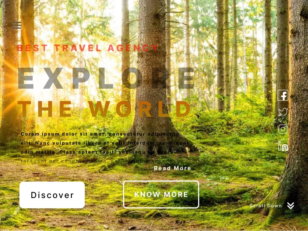 Web Page Design And Developer Upwork