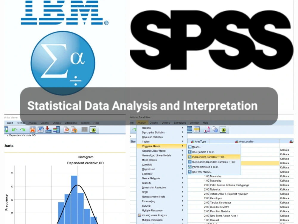 Assistant in statistical data analysis and interpretation | Upwork