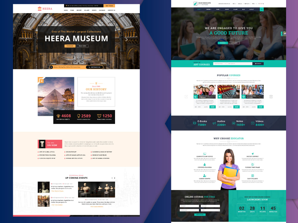Wordpress expert | wordpress designer | wordpress developer | Upwork
