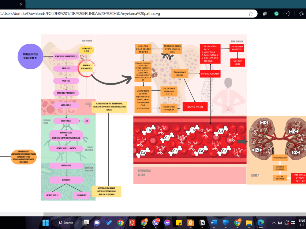 A FLOWCHART and a script for that flowchart | Upwork