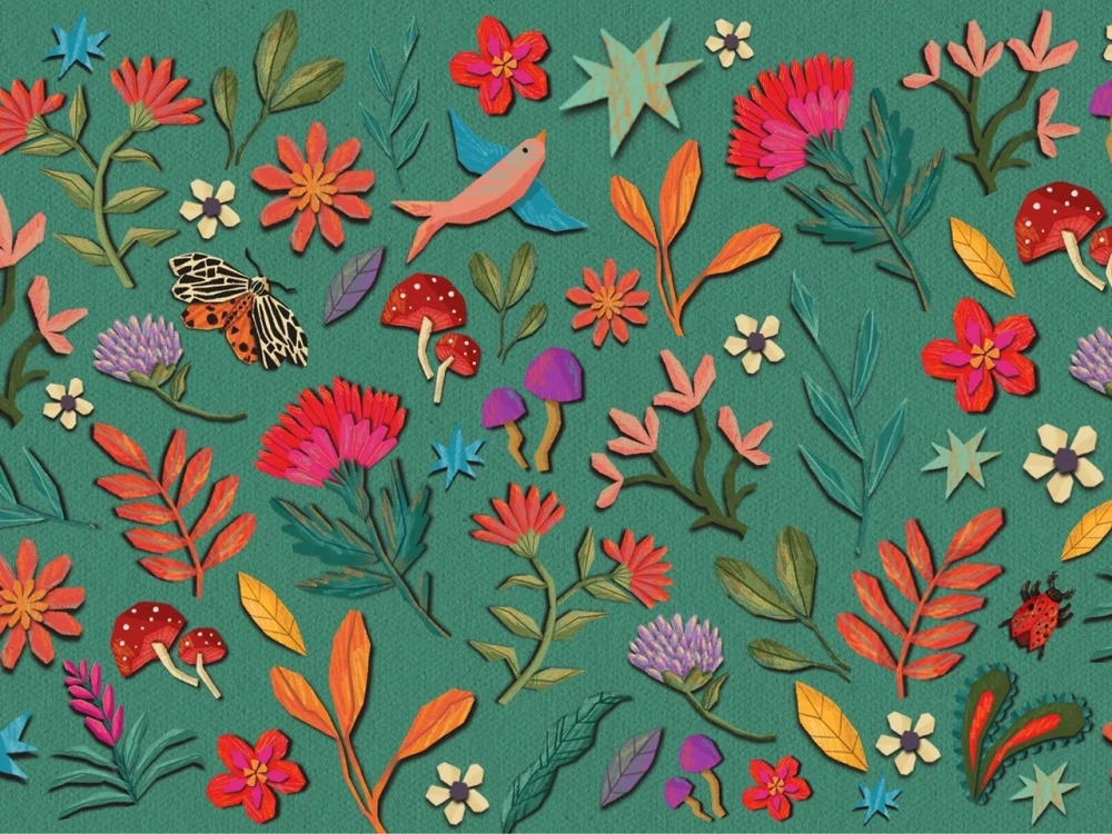 Creative and colorful illustrations for your project | Upwork