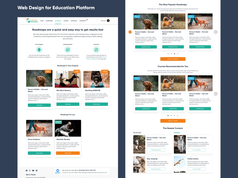 A unique, user-friendly website design from scratch for you business ...