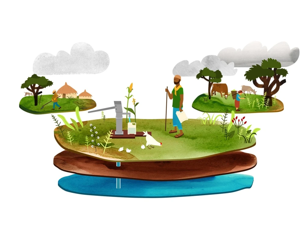 A fantastic illustration for your print or digital project | Upwork