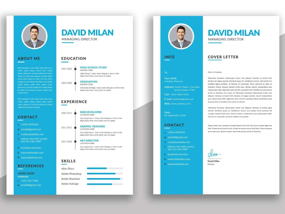 A professional infographic CV resume and cover letter design | Upwork