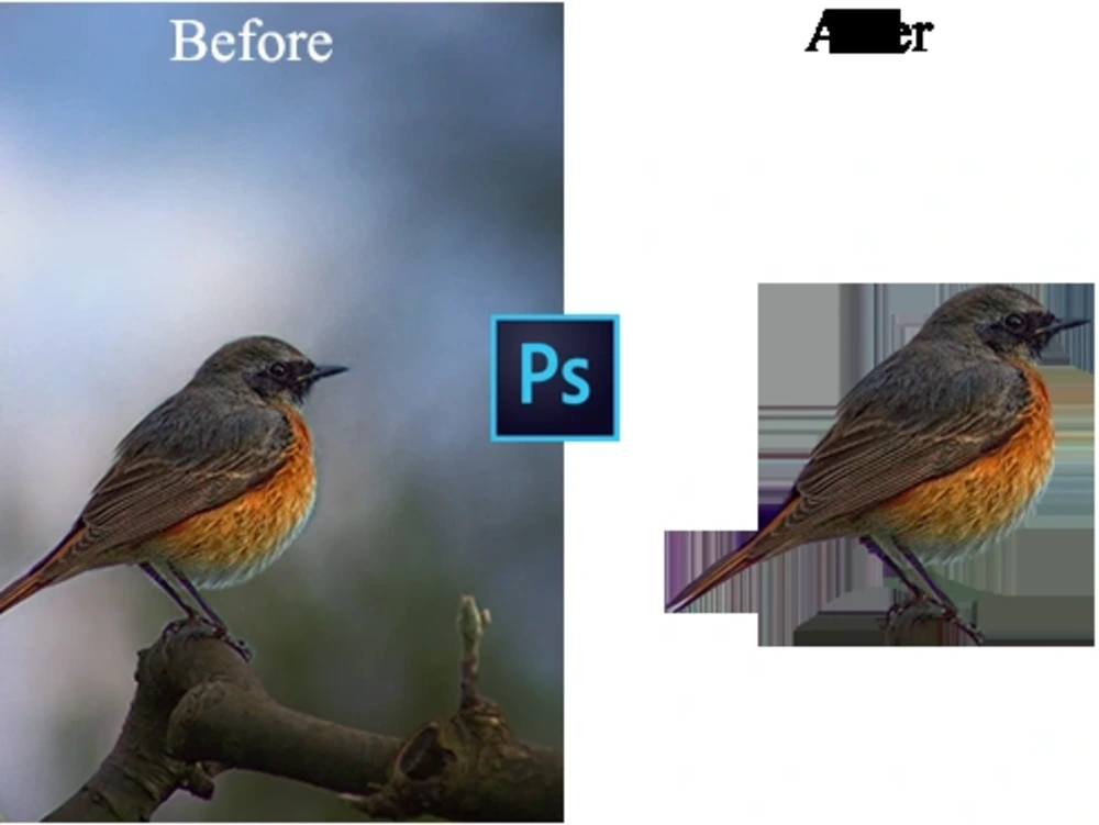 A Background Removing Photoshop Work Upwork A Background Removing Photoshop Work Upwork