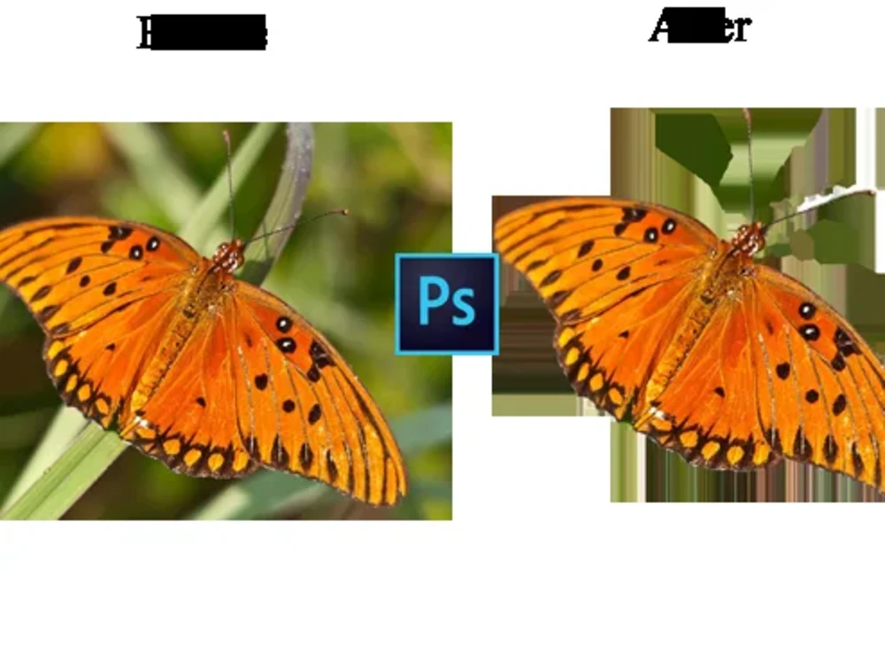 A Background Removing Photoshop Work Upwork A Background Removing Photoshop Work Upwork