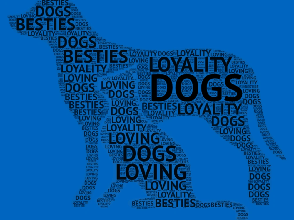 A Beautiful Word Cloud Art for you! | Upwork