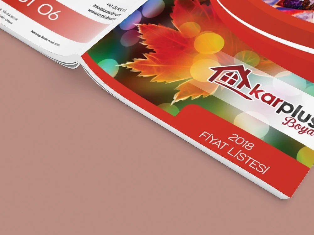 Corporate and impressive catalog designs Upwork