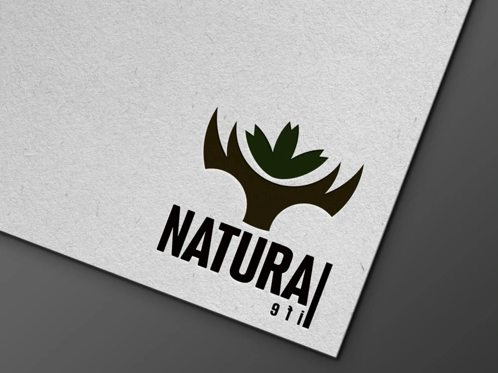 An amazing logo designed for your business | Upwork
