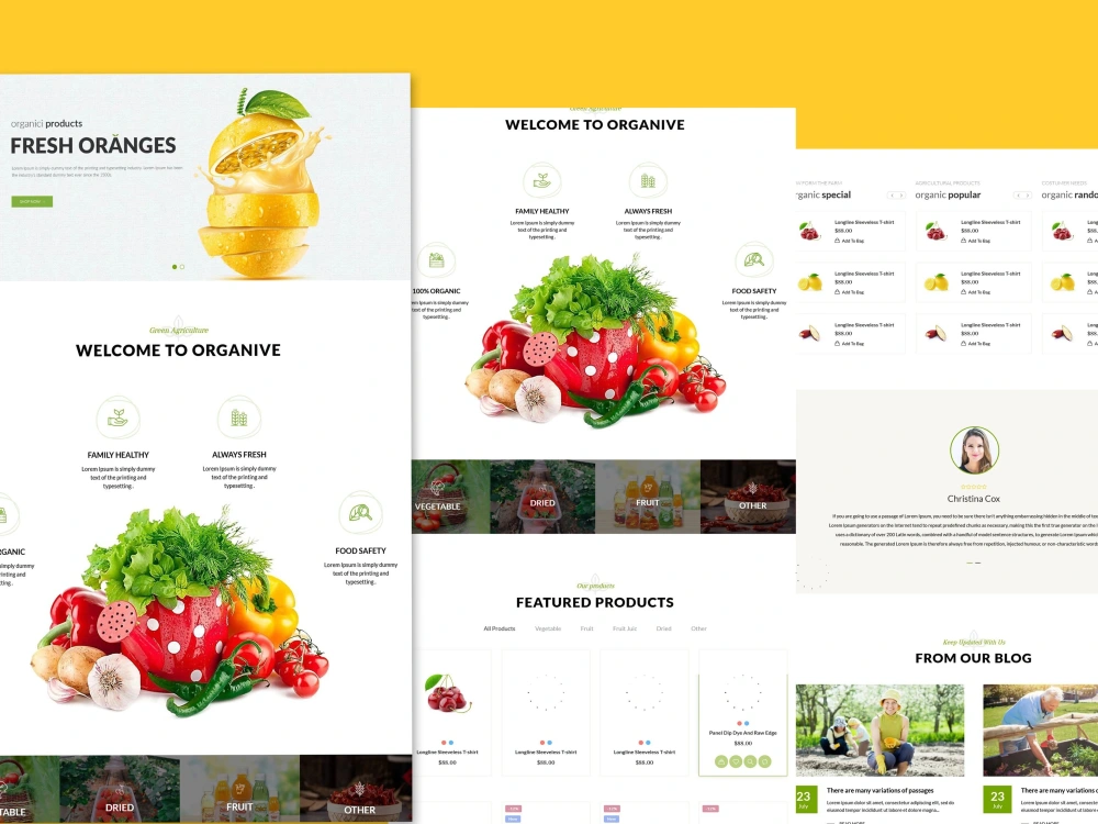 Editable responsive mailchimp email template newsletter design | Upwork