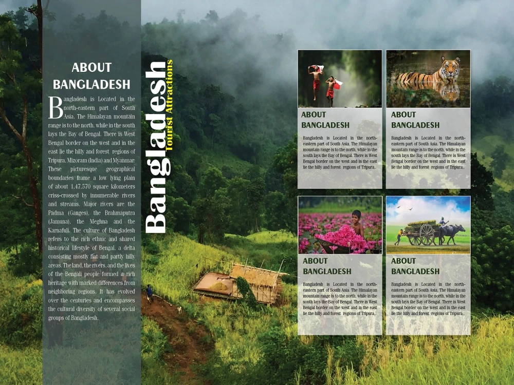 A magazine design, magazine layout, magazine cover using InDesign | Upwork
