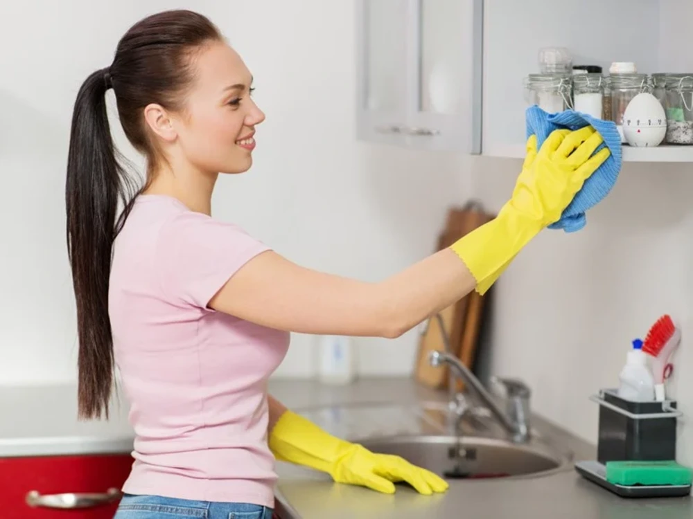 a-house-office-cleaning-booking-system-wordpress-website-upwork