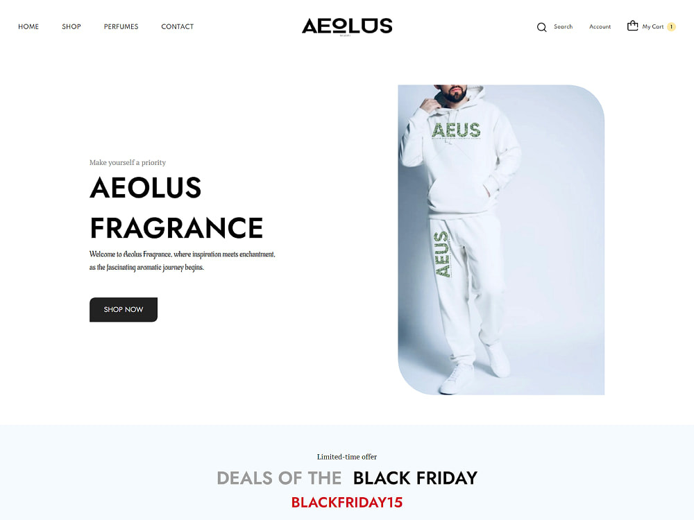 Design a premium shopify store or shopify landing page | Upwork
