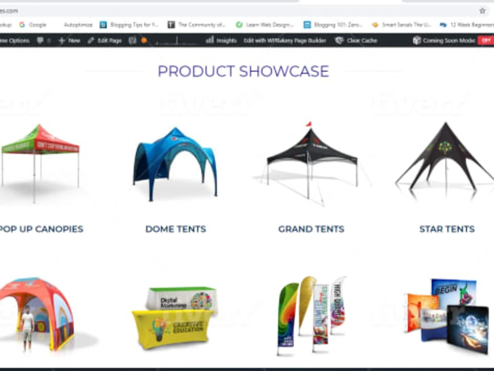 A modern and responsive WordPress website design for your business | Upwork