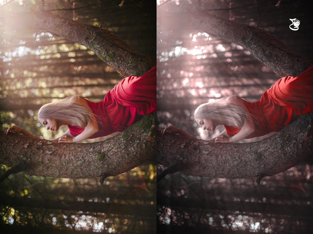 Light package which include light correction, white balance, filter ...