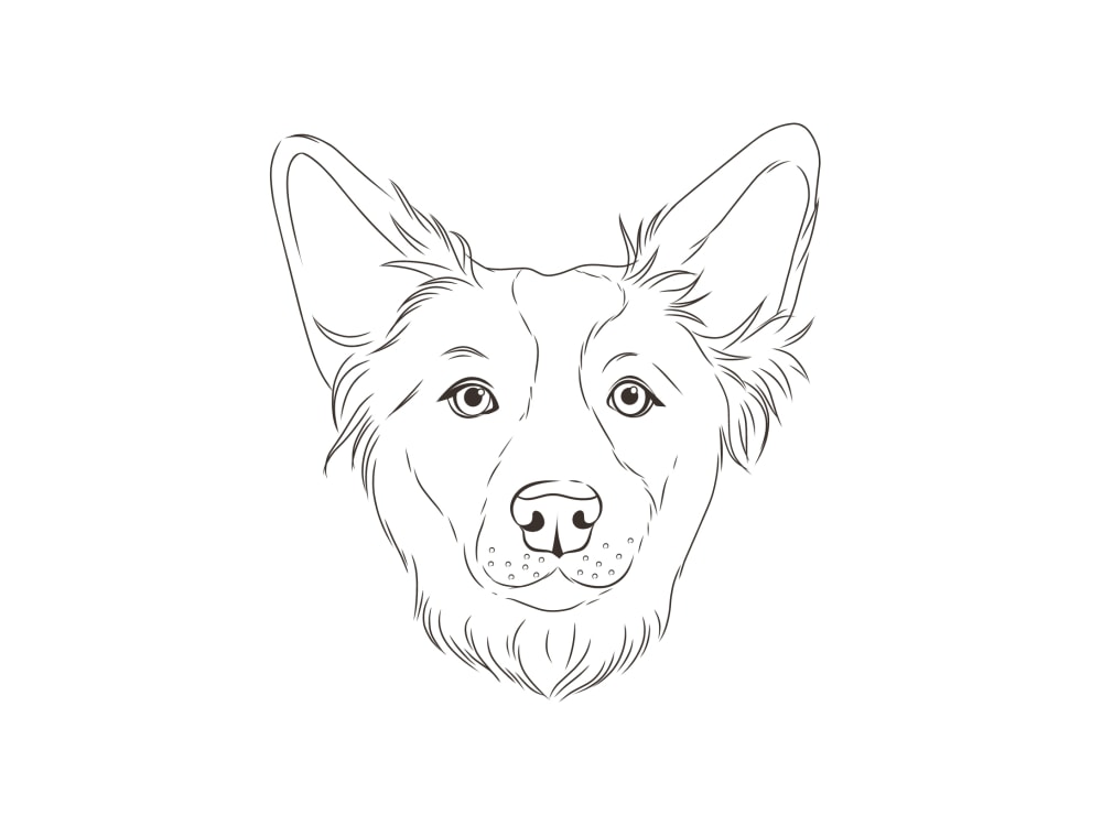 A fantastic pet lineart from your photo | Upwork