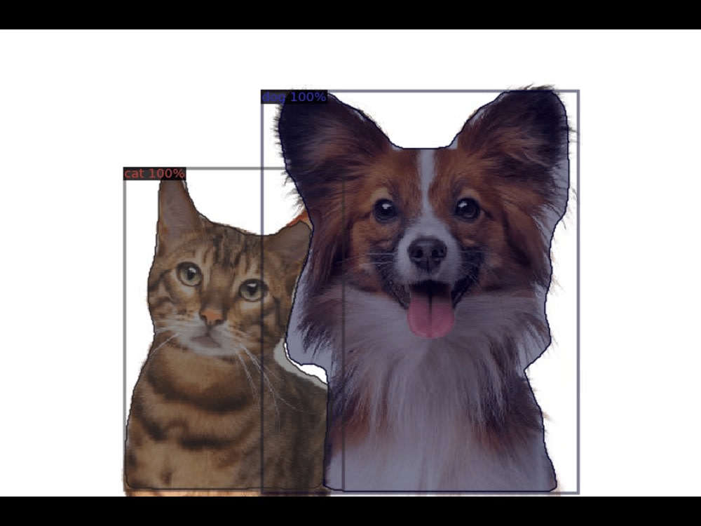 A object detection model customized for your business needs. | Upwork