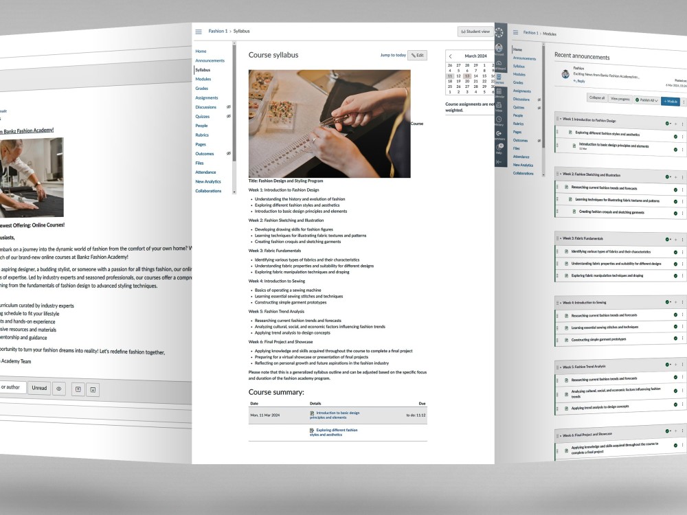 A website for an online course using Moodle, canvas, and google