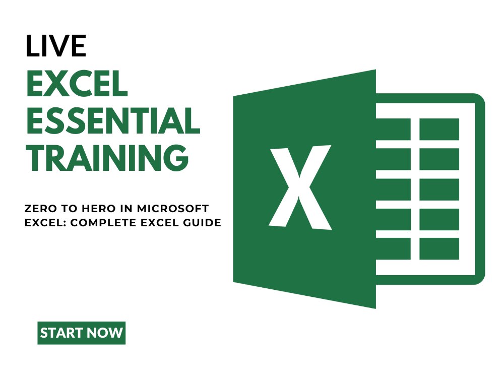 Complete Excel guide through live sessions | Upwork