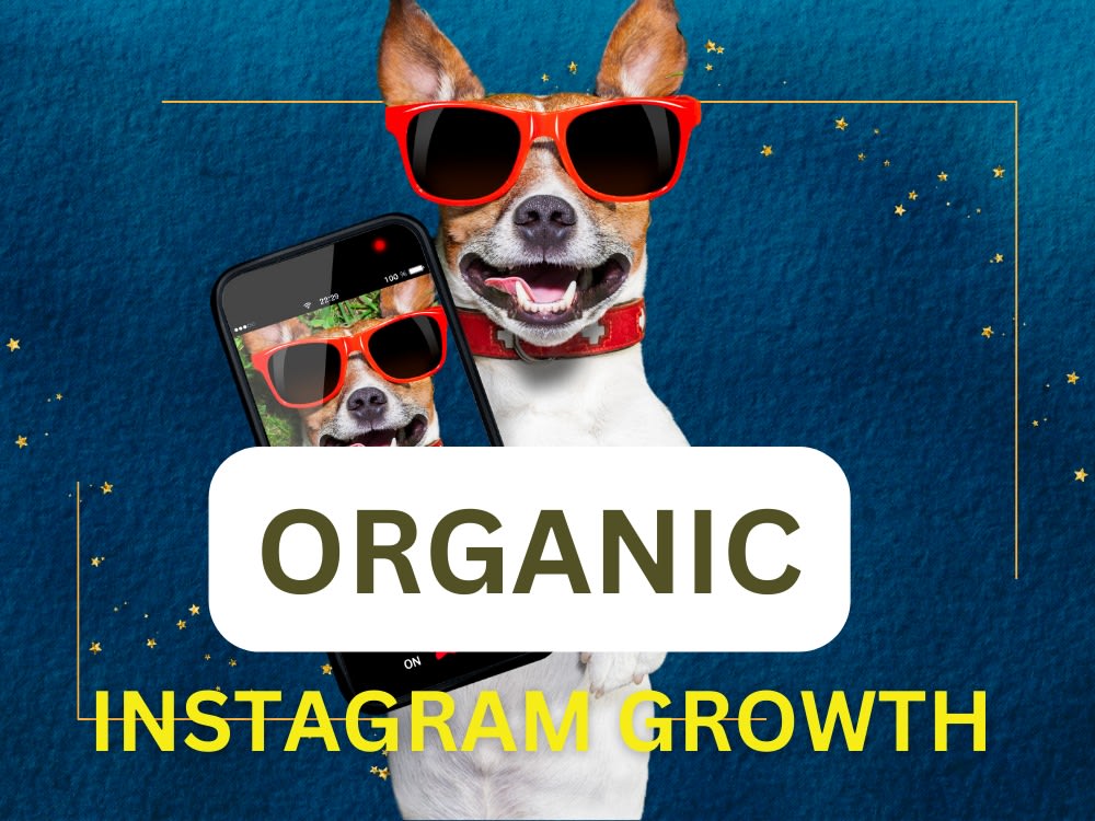 Teach you how to get over 100k followers on instagram organically | Upwork