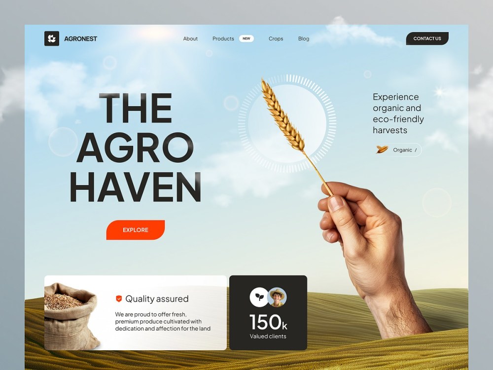 A self-administrated website + a unique + A brand book and brand guide ...