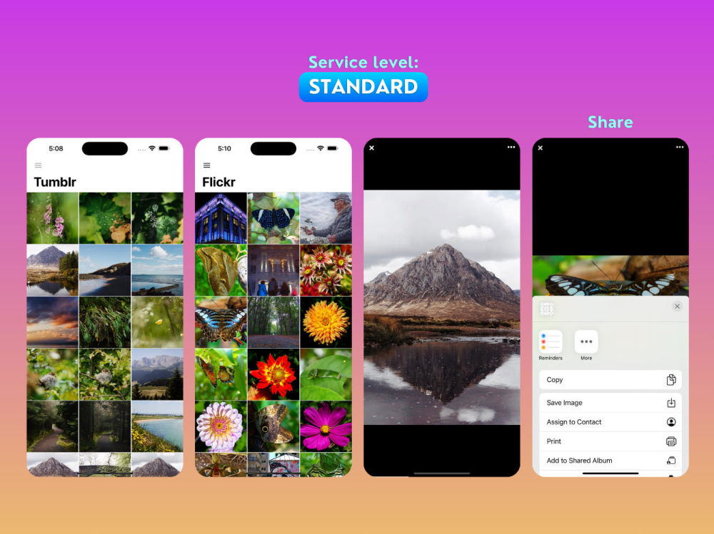 UNIVERSAL for iOS - Full Multi-Purpose iOS app | Upwork