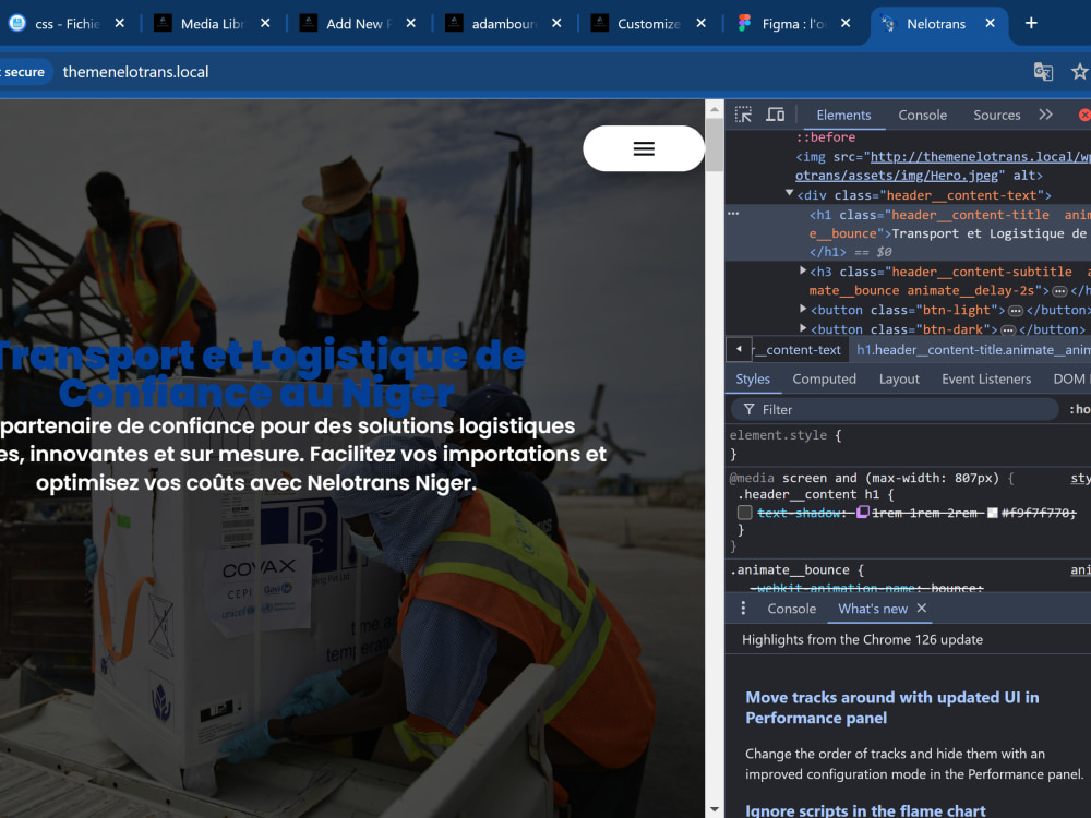 WordPress Bugs Fixed | Plugin Errors, Theme Bugs, and Performance ...