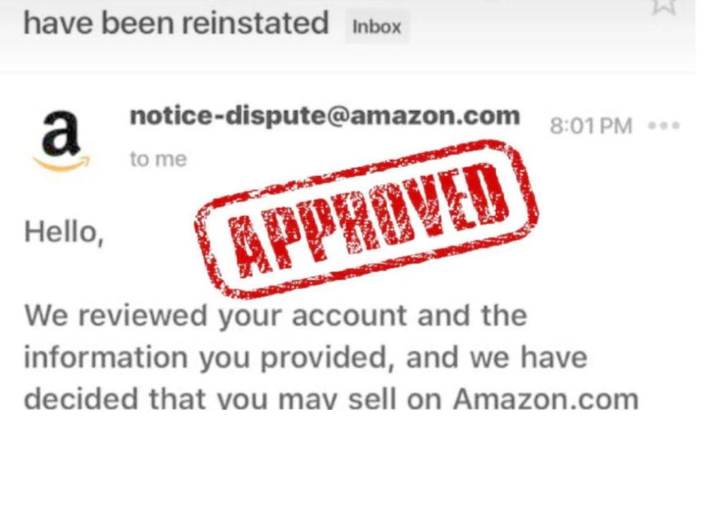 Amazon reinstatement appeal letter section 3 amazon account ...