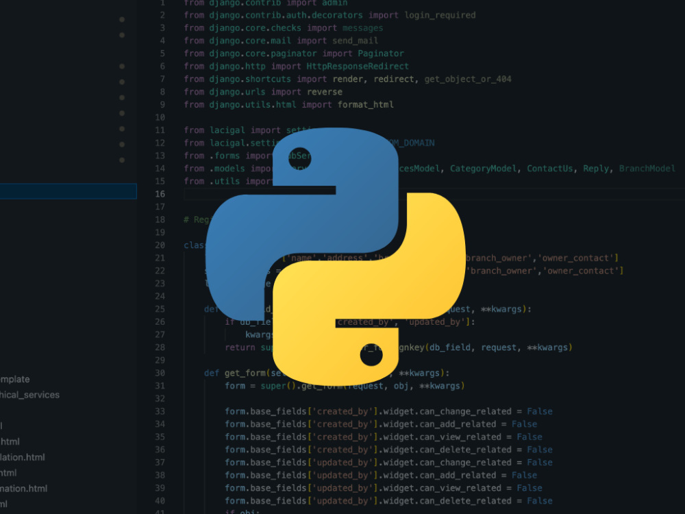 Python Developer | Expert in Automation, Bots, Scripts & Deployments ...