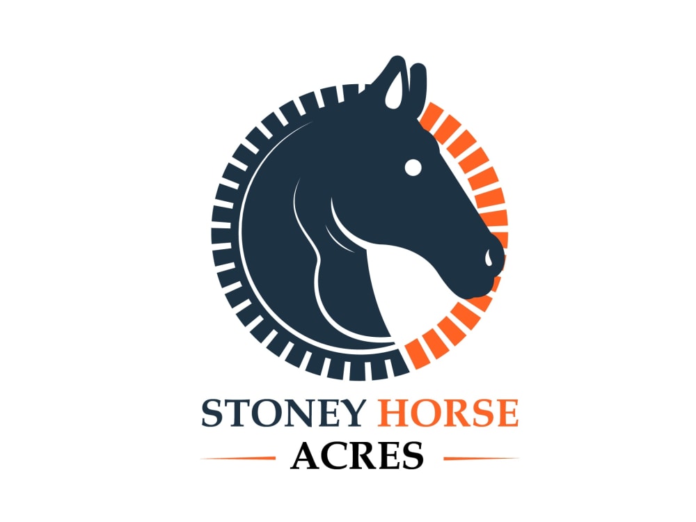 Creative and Professional Logo Design Services | Upwork