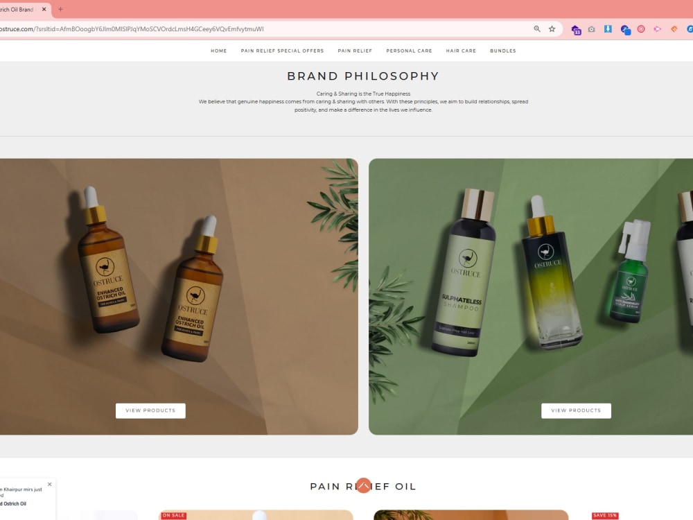 A fully functional e-commerce shopify store | Upwork