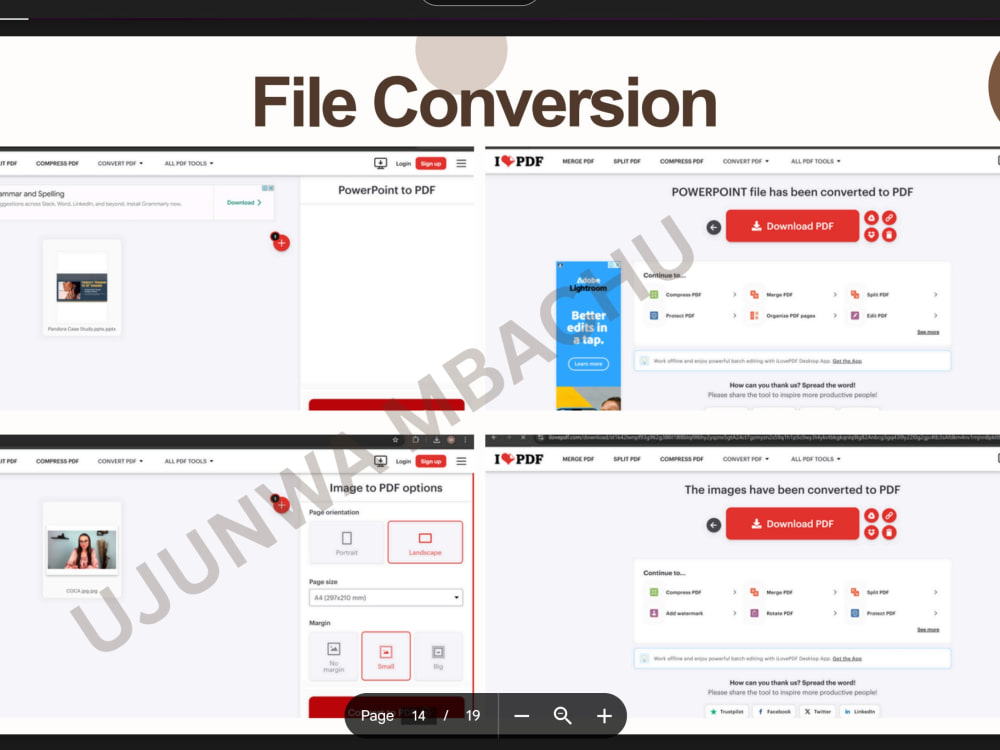 Preview image
