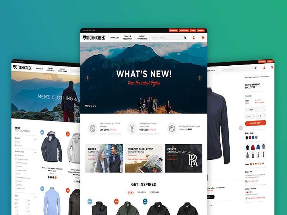 A Professional Ecommerce Website| Custom WordPress Ecommerce Website ...