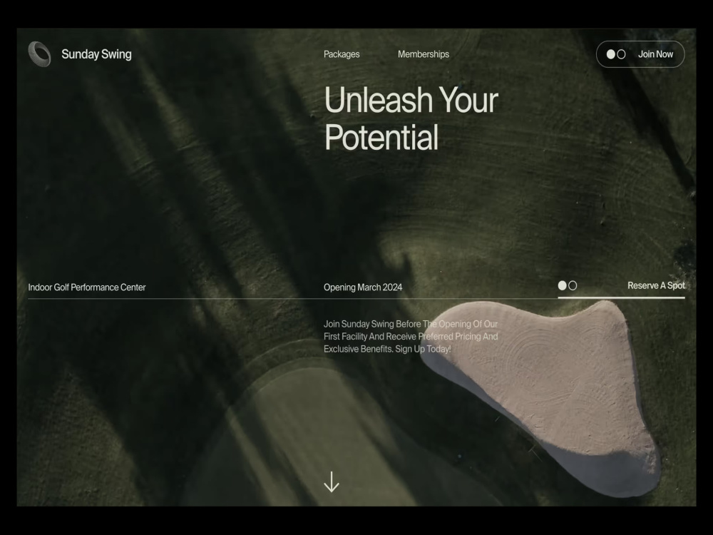 A Custom Website Design & Webflow Development in 1 Day* | Upwork