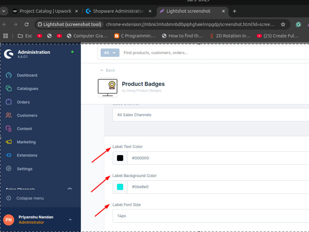 Product Badges Plugin | Shopware 6.x | Upwork