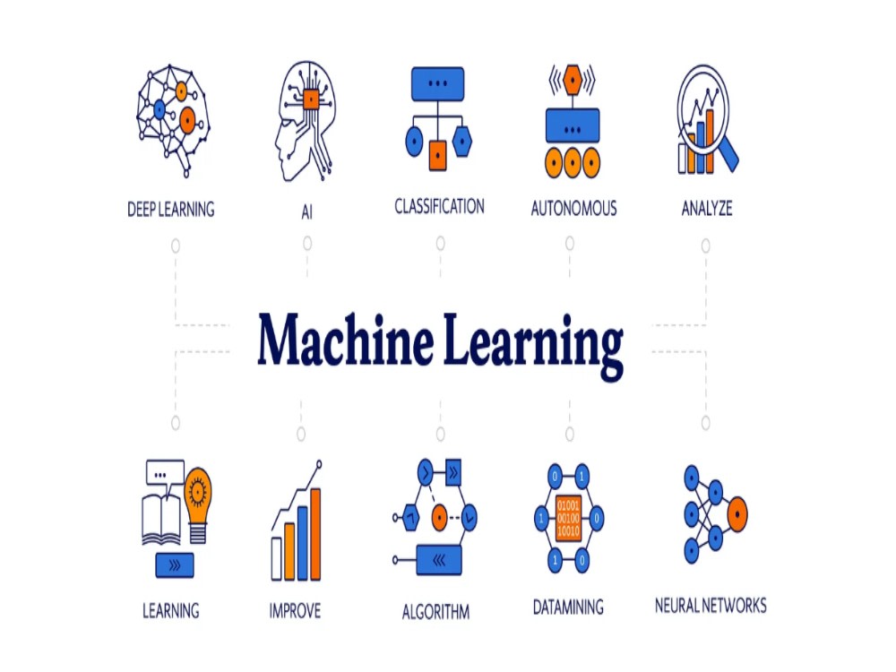 Data Science and Machine Learning Web Application | Upwork