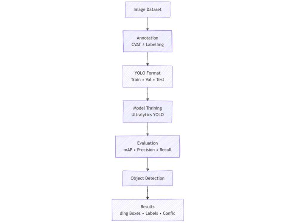 An object detection model using YOLO and Python | Upwork